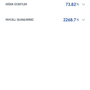 Çifte Faturalandırma Sorunu Ve Çözüm Arayışı