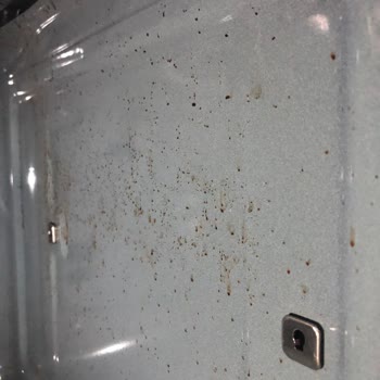 Bosch Ankastre Fırında Çıkmayan Lekeler