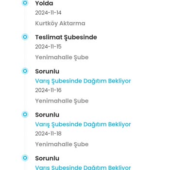 Kargoist Kargo Firması İle Yaşanan Teslimat Sorunu Ve FLO Müşteri Hizmetlerine Ulaşamama