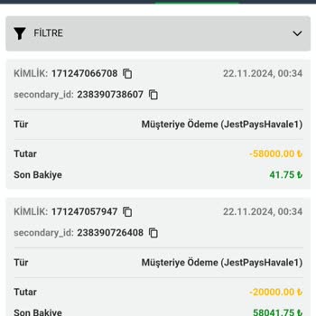 Maxwoon Sitesinde Yatırım Sonrası Ödeme Problemi Ve İletişim Eksikliği