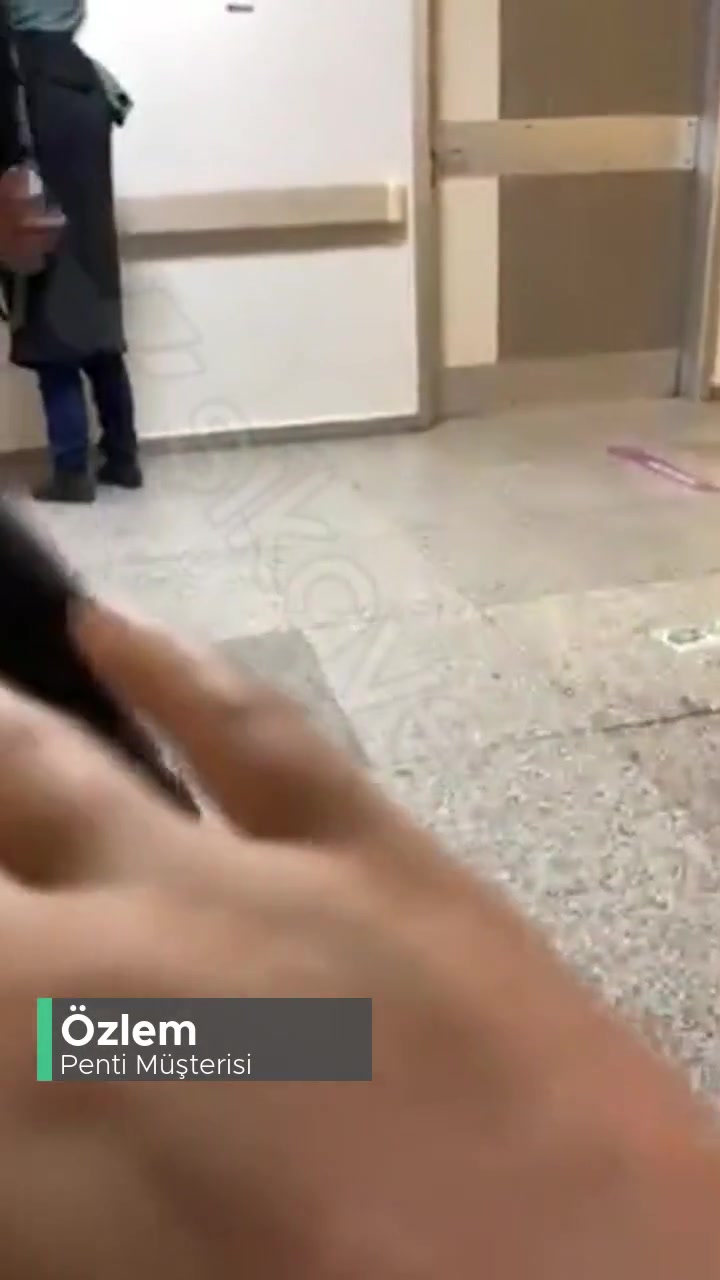 Penti'de Sokak Kedisi Mağduriyeti! videonun kapak resmi