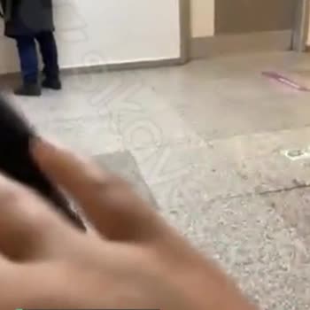 Penti'de Sokak Kedisi Mağduriyeti!