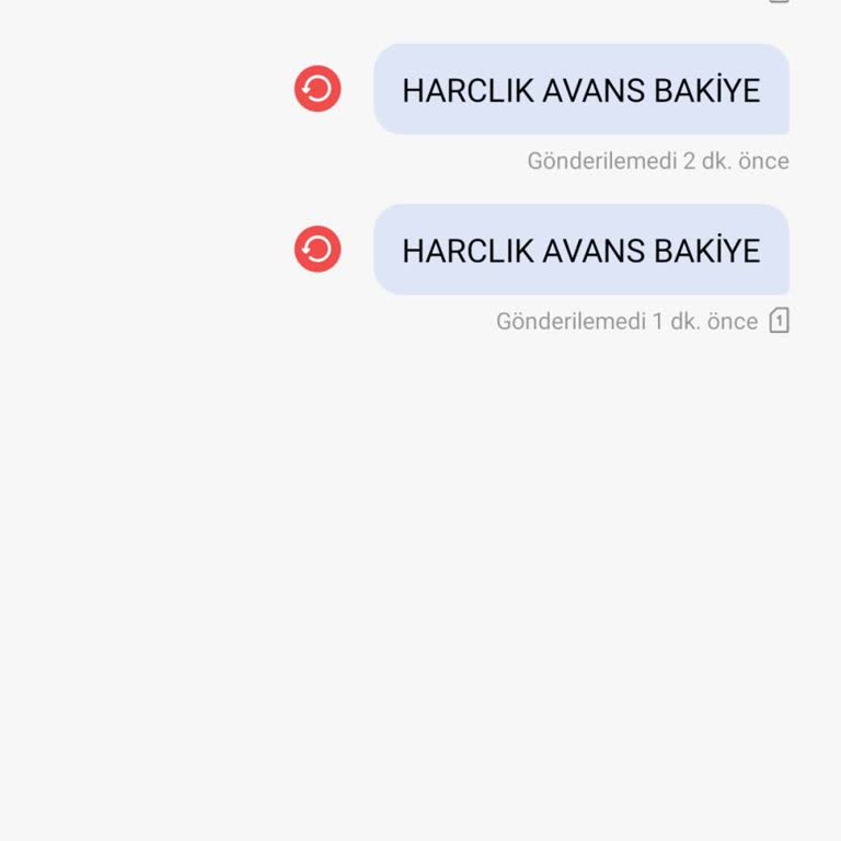 Müşteri Hizmetlerine Ulaşamama Ve Hesap Bakiyesi Sorunu