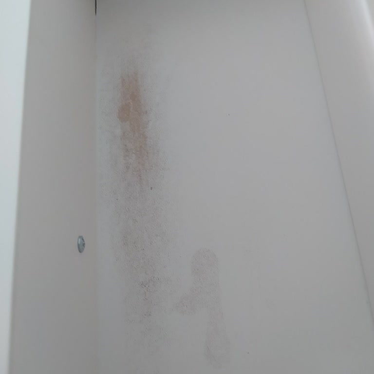 Bellona Mağazasından Aldığım Ürünler Hayal Kırıklığı Yarattı