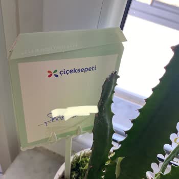 Müşteri Hizmetleri Ve Sipariş Sorunlarıyla İlgili Hayal Kırıklığı