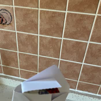 Müşteri Hizmetleri Ve Sipariş Sorunlarıyla İlgili Hayal Kırıklığı