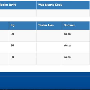 Geciken Kargo Teslimatı Ve İlgisiz Takip