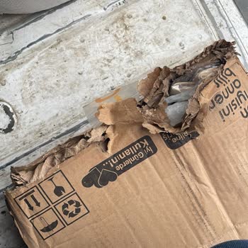 Kargo Sorunlarıyla Hayal Kırıklığı Yaşatan Alışveriş Deneyimi