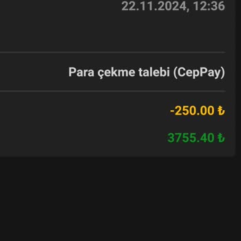 Ödeme Sorunları Ve Güvenlik Endişeleri