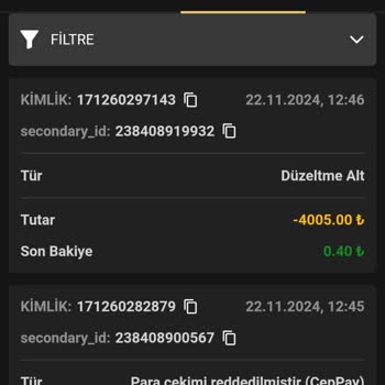 Ödeme Sorunları Ve Güvenlik Endişeleri