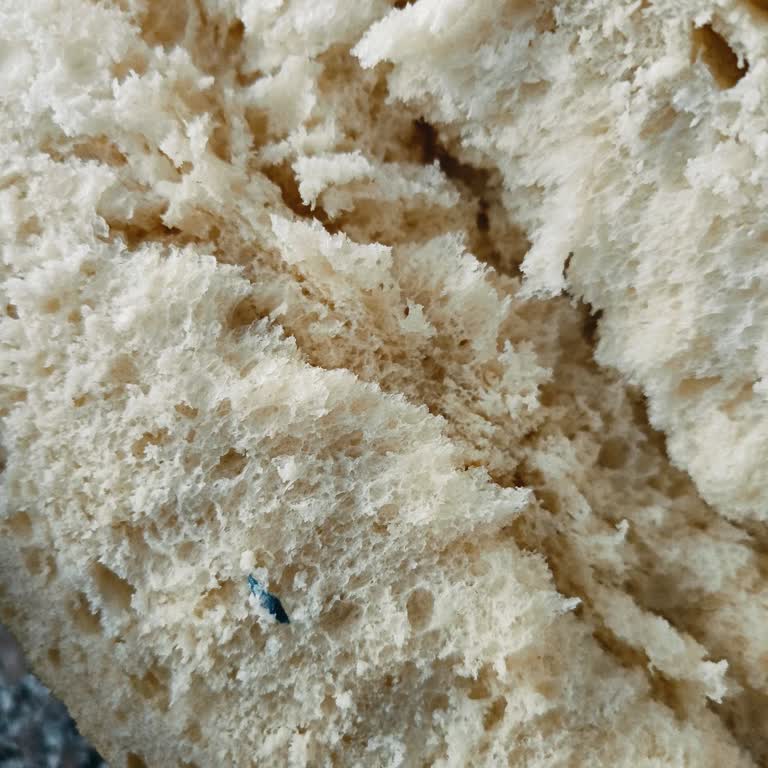 Ekmekten Çıkan İstenmeyen Maddeler