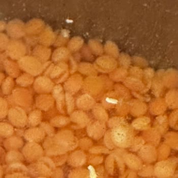 Güvenilir Markadan Beklenmeyen Sürpriz