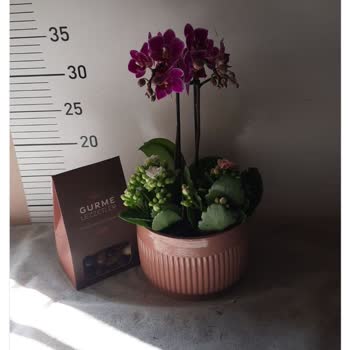 Yanıltıcı Ürün Görselleri Ve Yanlış Sipariş Teslimatı