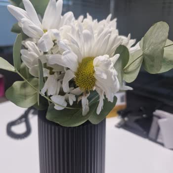 Solmuş Çiçeklerle Hayal Kırıklığı