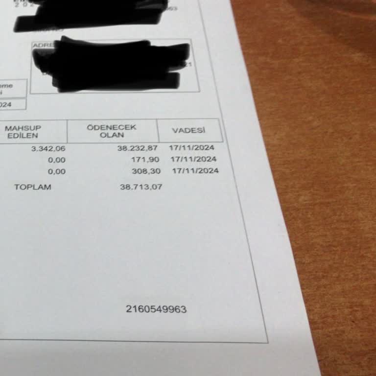 EDM E-Fatura Portalı Kullanımında Büyük Sorunlar