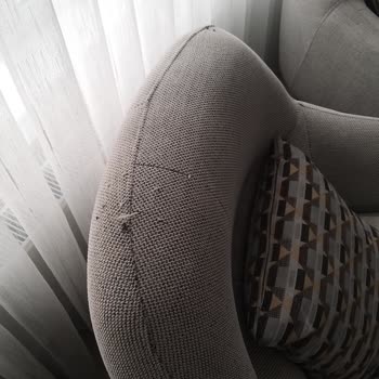 Kedi Dostu Kumaş Fiyaskosu Ve Çözüm Eksikliği