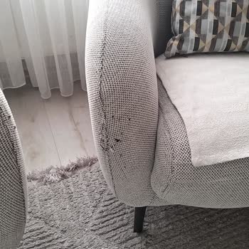 Kedi Dostu Kumaş Fiyaskosu Ve Çözüm Eksikliği