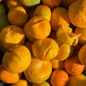 Aras Kargo Hasarlı Kargo Ve İlgisiz Hizmet!