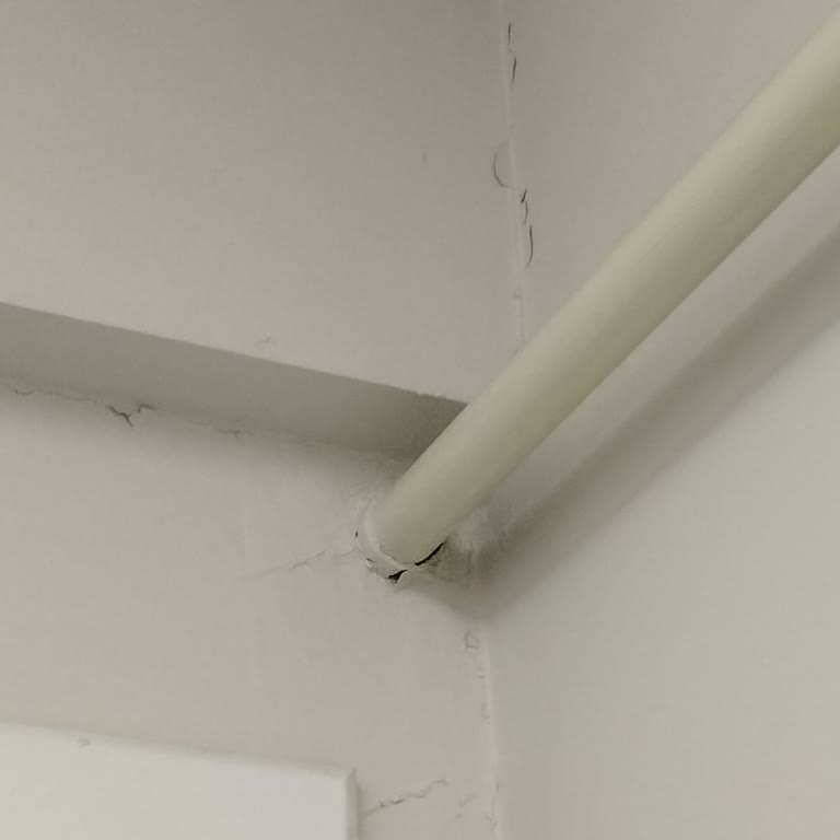 DASK Sigorta Ekspertiz Sürecinde Yaşanan Gecikme Ve İletişim Sorunu