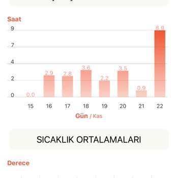 General HT500 Model Oda Termostatının Yazılım Sorunları Ve Enerji Tüketimi