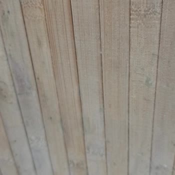 English Home Çamaşır Sepeti: 1 Ayda Küf Problemi!