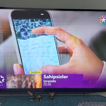 Beko Televizyonumun Garantisi Biter Bitmez Ekran Sorunu