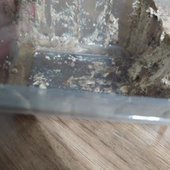 Migros'tan Aldığım Helvada Saç Kılı Şoku