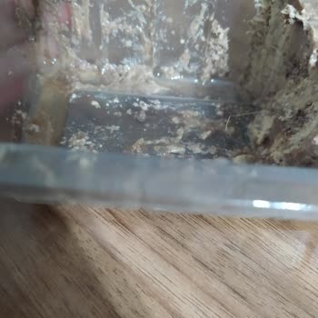 Migros'tan Aldığım Helvada Saç Kılı Şoku