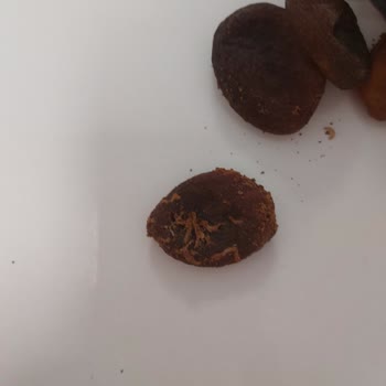 Kurtlu Kuru Kayısı Şoku: Simbat Ve BİM'e Güven Sarsılıyor