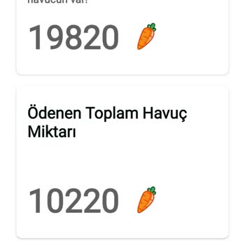 Ödeme Talebi Karşılanmayan Anket Uygulaması