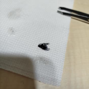 Loreal Paris Kremden Çıkan Şok: Ölü Sinek Skandalı