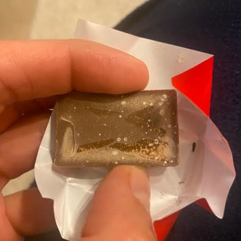 Açılmamış Paketten Böcek Şoku