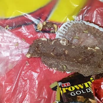 Eti Canga'dan Kurt Şoku!