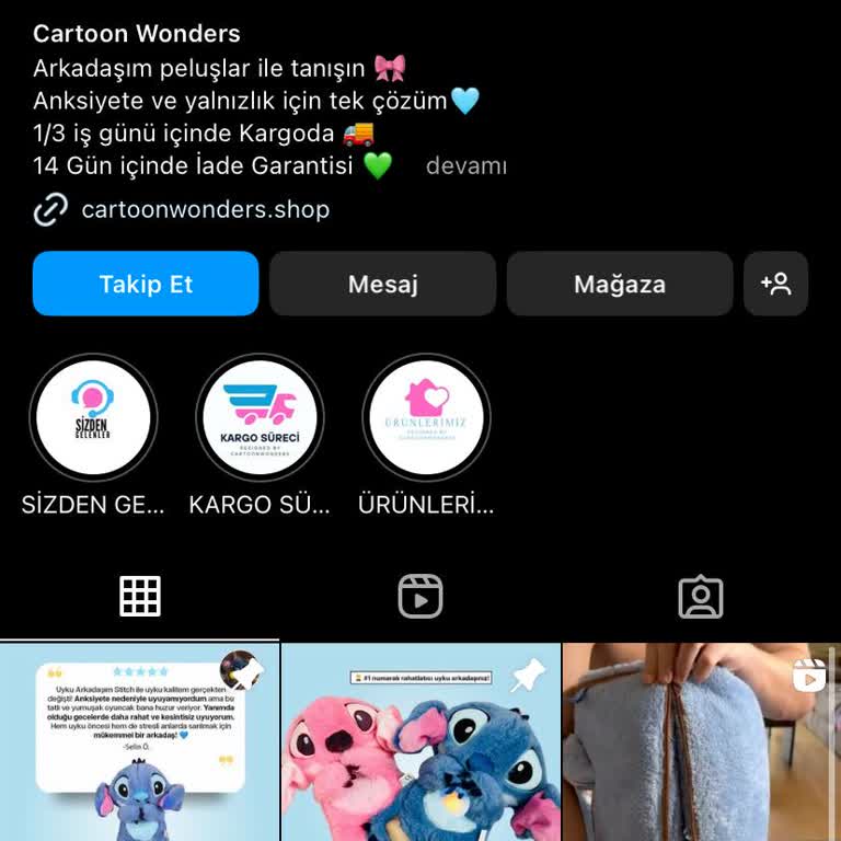 Cartoon Wonders Kargodan Haber Yok