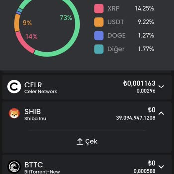 Hesap Erişim Sorunları Ve Yetersiz Destek