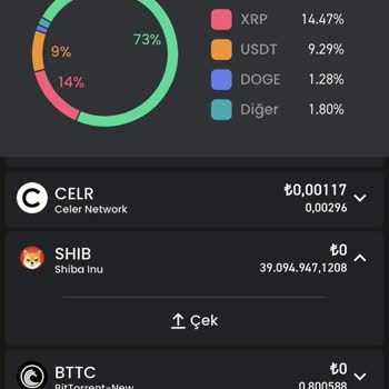 Hesap Erişim Sorunları Ve Yetersiz Destek