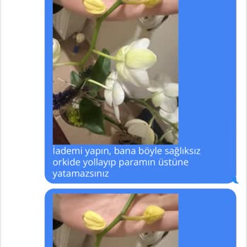 Yanıltıcı Ürün Ve İade Sorunu: Sağlıksız Orkide