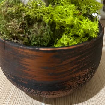 Yanıltıcı Ürün Ve İade Sorunu: Sağlıksız Orkide