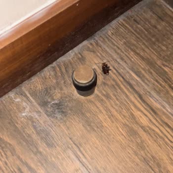 Hilton Garden Inn Room Not Cleaned Properly Despite Complaints