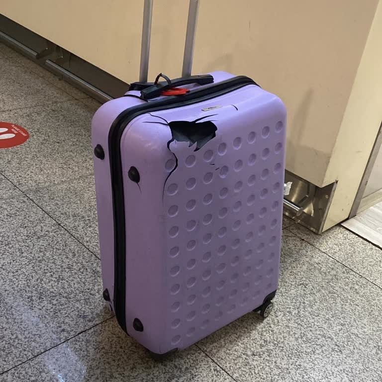 Uçuş İptali Ve Kayıp Eşyalarla Gelen Sorunlar