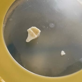 Nestle Bebek Sütünde Şaşırtıcı Yabancı Madde