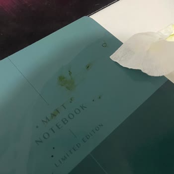 Touch Sketc Aldığım Kalemler Her Yeri Boyadı