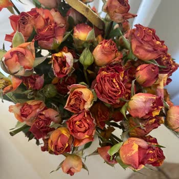 Görsel Ve Gerçek Arasındaki Uçurum: Çiçek Sepeti'nde Hayal Kırıklığı