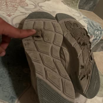 Skechers Ayakkabıda Beklenmedik Kalite Sorunu