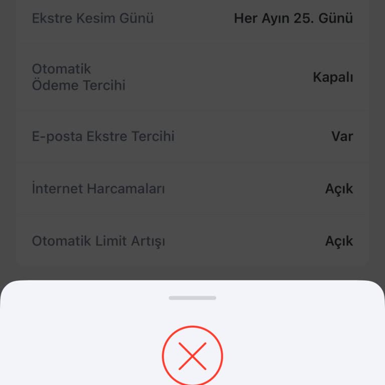 Kayıp Kredi Kartı Ve Başvuru Sorunu