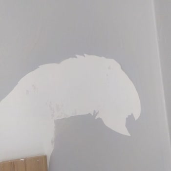 Filli Boya'nın Andezit 45 Boyası Tam Bir Hayal Kırıklığı