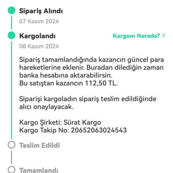 Kayıp Kargo Krizi: Ürünüm Nerede?
