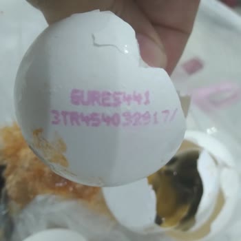 Bozuk Yumurta Deneyimi: Gıda Güvenliği Sorunu