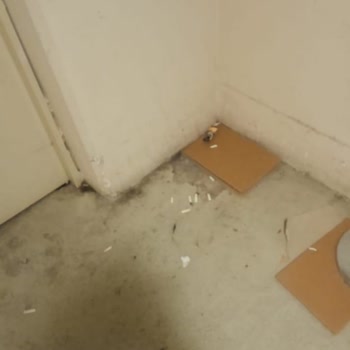 Akasya AVM'de Ayrımcılık Ve Zor Çalışma Koşulları