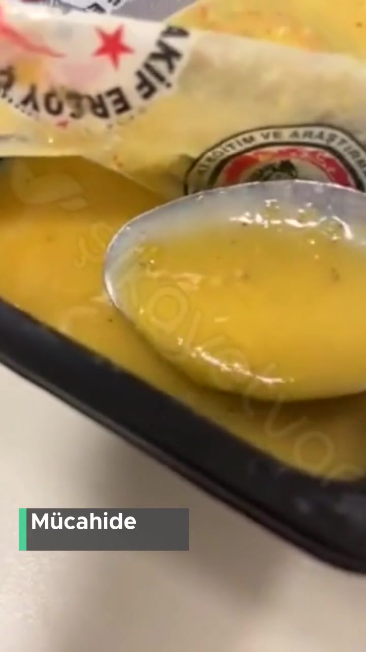 Alo 184 Sağlık Bakanlığı Yemekte Kurt Var videonun kapak resmi